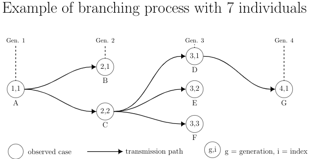 Branching process example